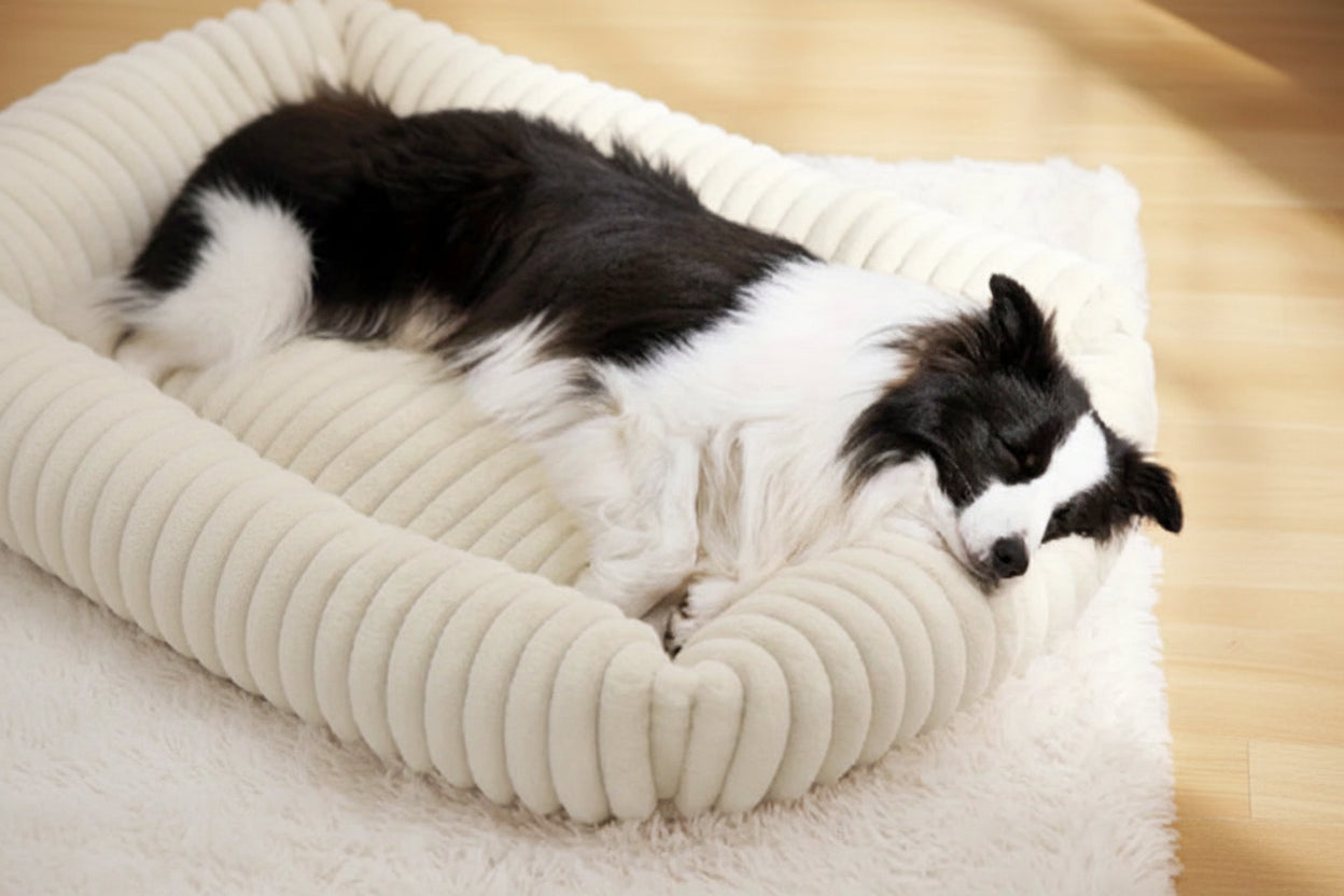 Luxe Orthopedic Dog Bed