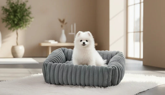 Luxe Orthopedic Dog Bed